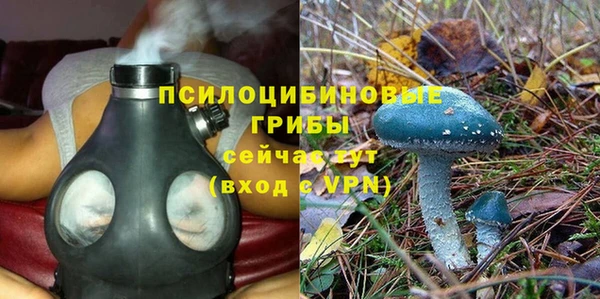 бутират Богданович