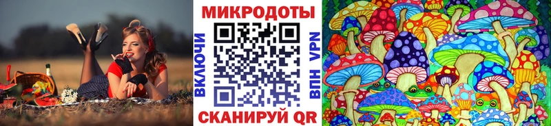 Галлюциногенные грибы прущие грибы  omg сайт  Ахтырский 